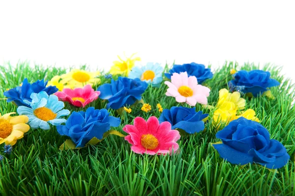 Hierba verde con flores de colores — Foto de Stock