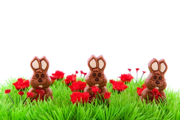 Green grass with chocolate easter hares — Stock Photo, Image