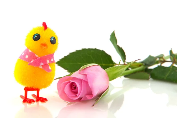 Pollito de Pascua con rosa —  Fotos de Stock