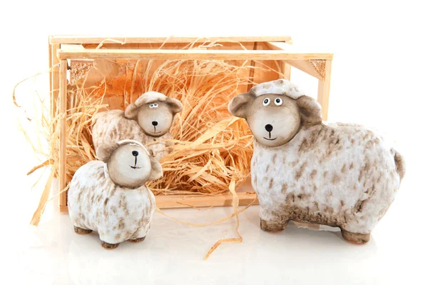 stock image Sheep and lambs