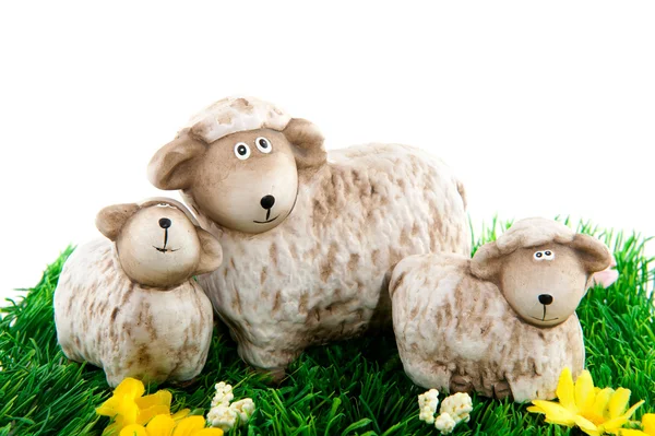 stock image Sheep with lambs