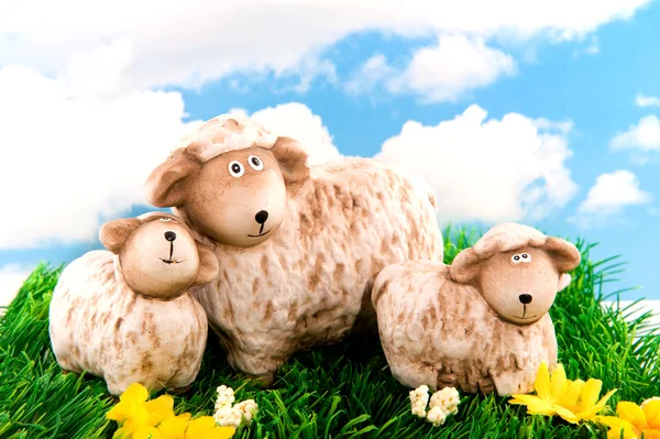 Stock image Sheep with lambs