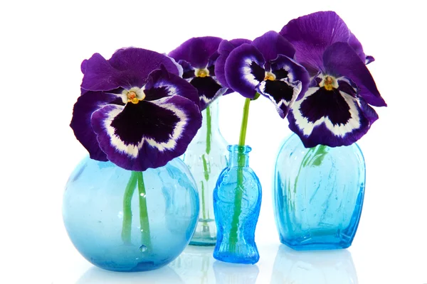 Kék üveg vázák és árvácskák — Stock Fotó