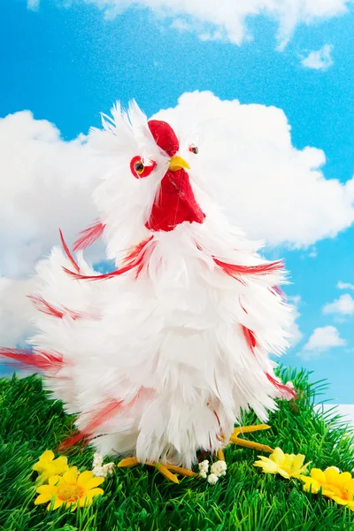 Funny chicken — Stock Photo, Image