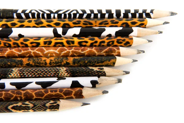 Safari kalemler — Stok fotoğraf