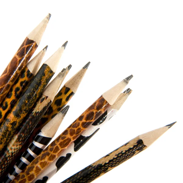 Ołówki polowanie w Afryce — Zdjęcie stockowe