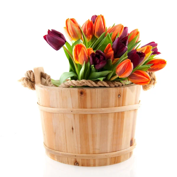 Wooden bucket ful of tulips — Stock Photo, Image