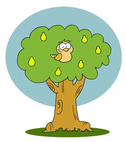 Rebhuhn in einem Birnbaum — Stockfoto