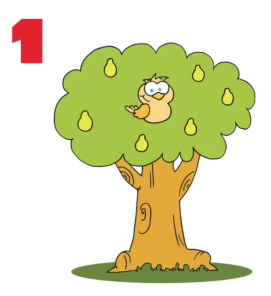 番号を 1 つの梨の木にいるヤマウズラによって — ストック写真