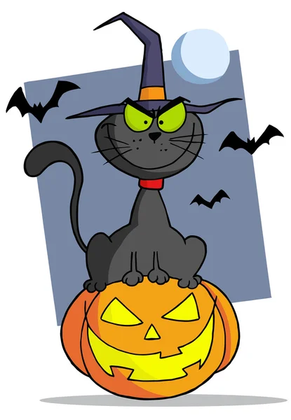 Desenhos animados halloween gato na abóbora — Fotografia de Stock