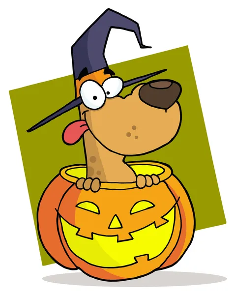Cartoon character halloween dog — Stock Photo, Image