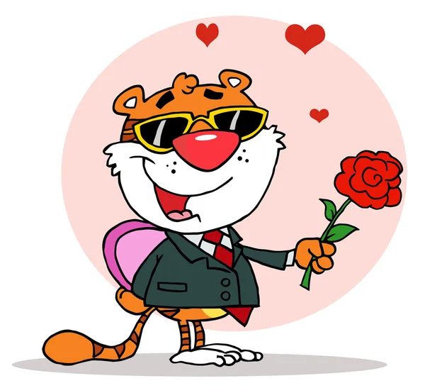 Tigre romantica che tiene una scatola di caramelle e una rosa — Foto Stock