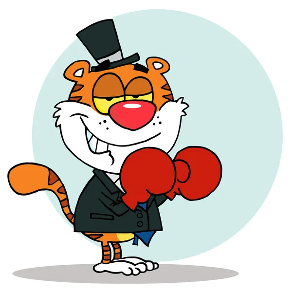Tiger mit roten Boxhandschuhen — Stockfoto