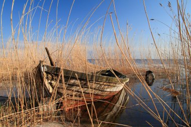 Old boat in reed clipart