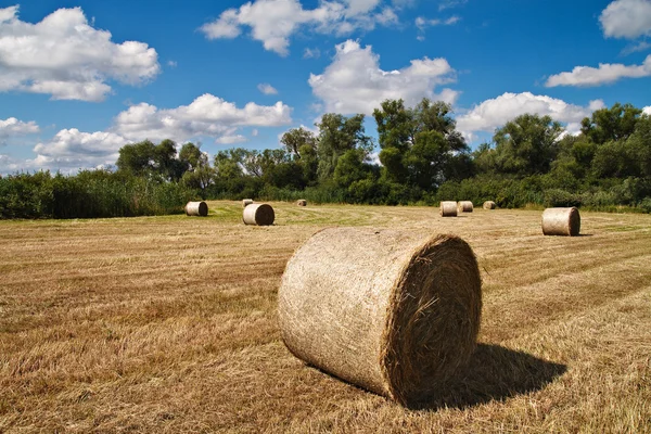 Stock image Bales of straw