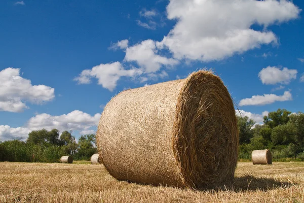 stock image Bales of straw