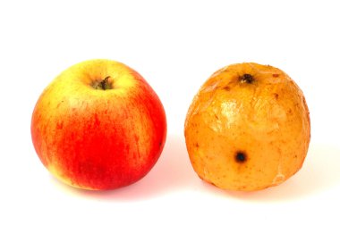Old and young apples clipart