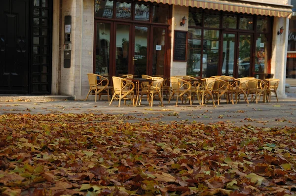 Café de otoño — Foto de Stock
