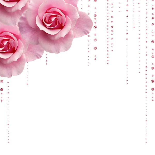 ジュエル滴とピンクのバラ — ストック写真