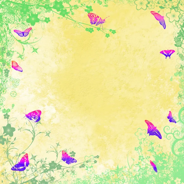 Colourful butterflies — Stock Photo, Image