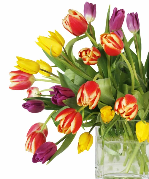 Tulpen in de vaas Rechtenvrije Stockfoto's