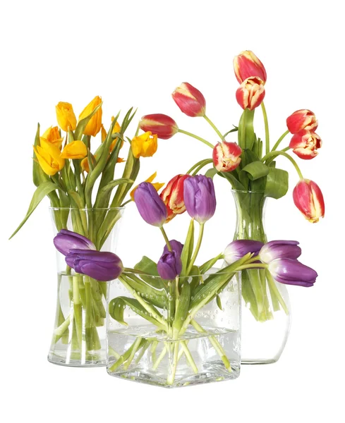 Tulpen in vazen met uitknippad Rechtenvrije Stockfoto's