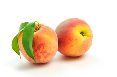 Fresh Peaches clipart