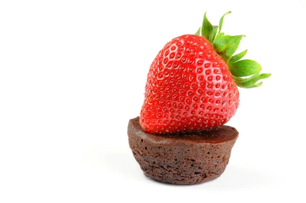 Erdbeere und Brownie — Stockfoto
