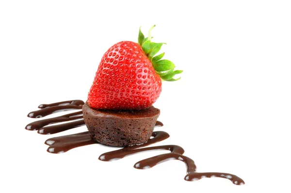 Chocolate Delight — Stock Photo, Image