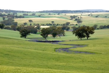 Farmland clipart