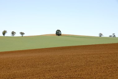 A Ploughed Field clipart