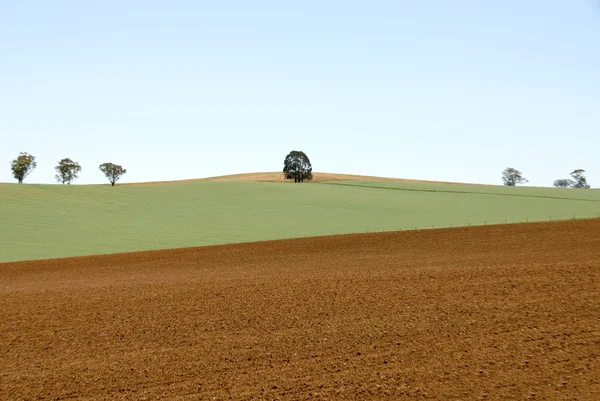Un campo arado — Foto de Stock