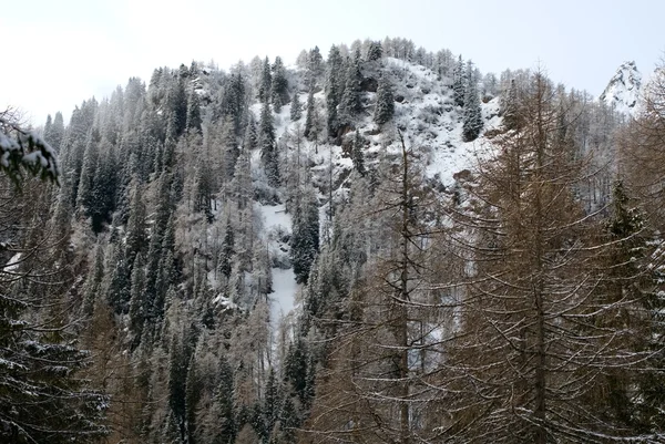 Dolomites sahne — Stok fotoğraf