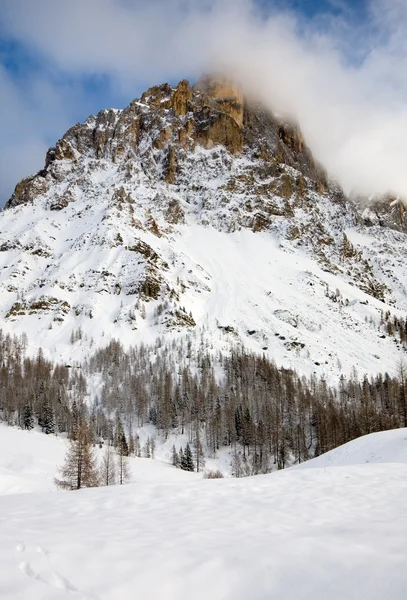 Scena Dolomiti — Foto Stock