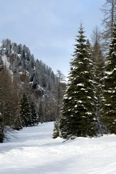 Dolomites sahne — Stok fotoğraf
