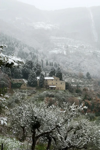 Scena invernale toscana — Foto Stock