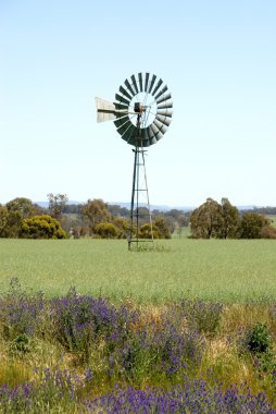 Windmill in a Field clipart