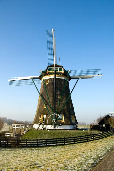 Hollanda Yeldeğirmeni — Stok fotoğraf