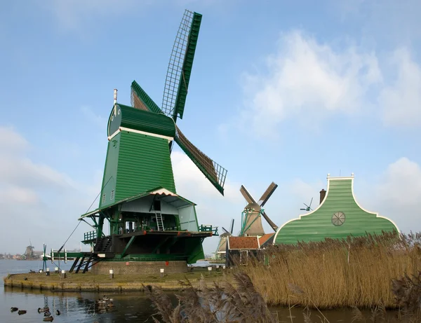 Holenderskie wiatraki — Zdjęcie stockowe