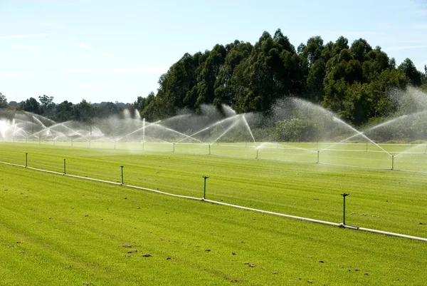 Apparecchiature di irrigazione — Foto Stock