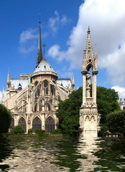 En oversvømt Notre-Dame-katedral – stockfoto