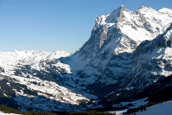 Grindelwald - Zwitserland — Stockfoto