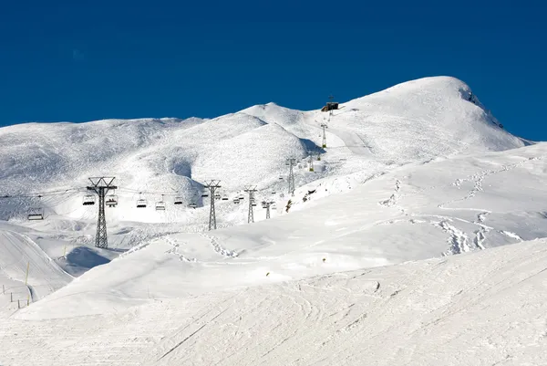 Carreras de esquí —  Fotos de Stock