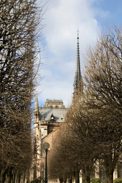 Notre Dame Cathedral — Stock Photo, Image
