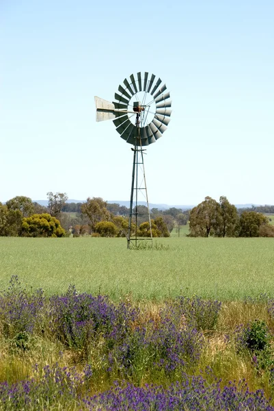 Větrný mlýn na poli — Stock fotografie
