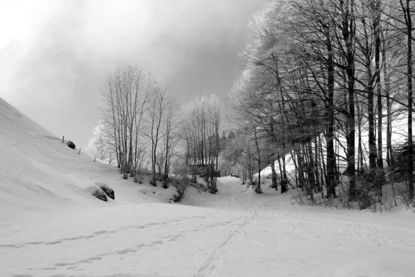 Ścieżka w śniegu — Zdjęcie stockowe
