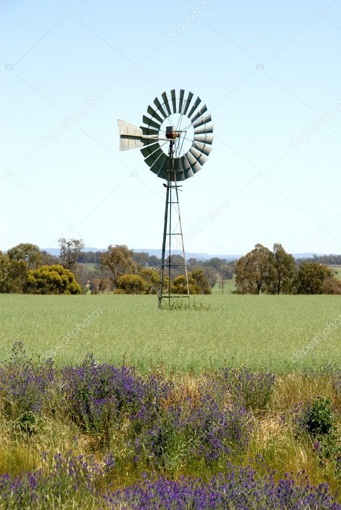 Windmill in a Field