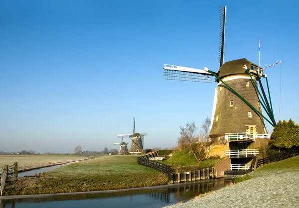 Dutch Windmills — Stock Photo, Image