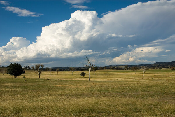 Приближающийся шторм
