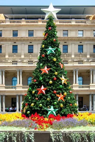 stock image Christmas Tree